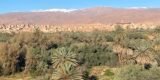 Vue palmeraie et Atlas enneigé