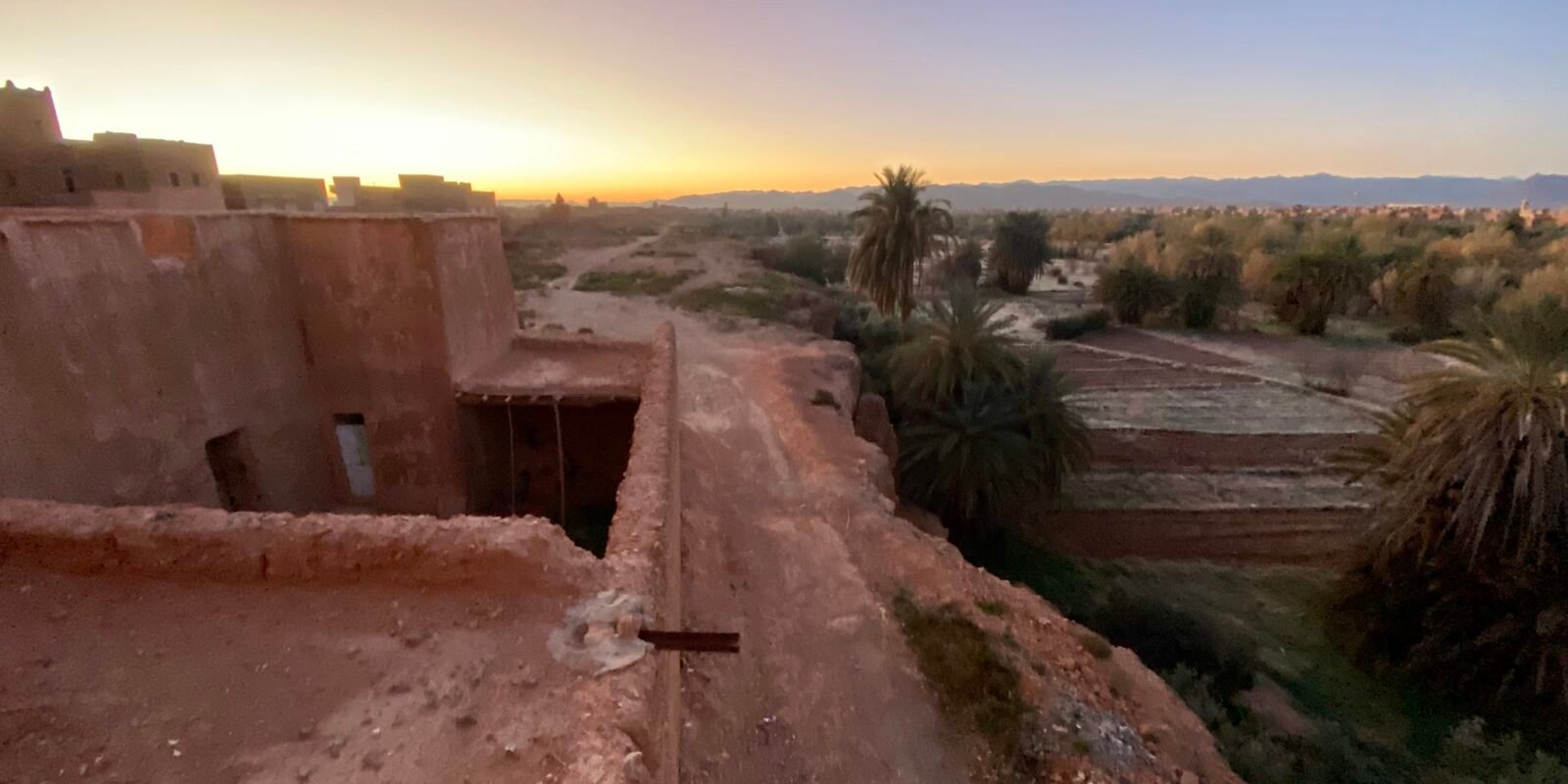 Vue palmeraie au coucher de soleil